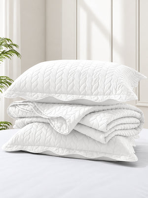 Lightweight Quilted Coverlet Bedspread Set