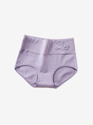 5-Pack High Waisted Seamless Shaping Briefs